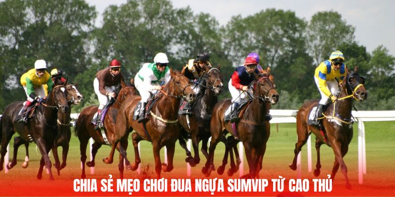 Chia sẻ mẹo chơi đua ngựa Sumvip từ cao thủ