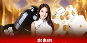 xóc đĩa live